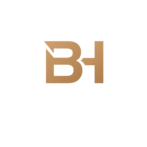 Black Horizon
